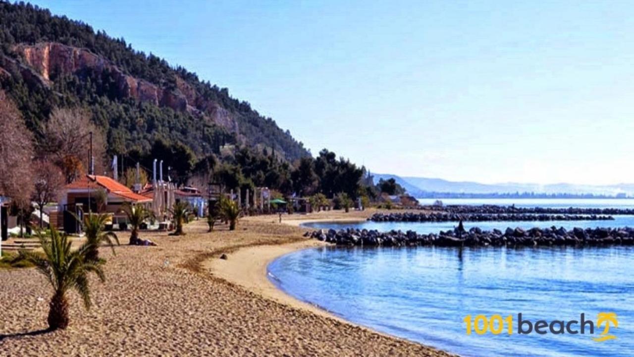 Alkistis House Βίλα Βόλος Εξωτερικό φωτογραφία